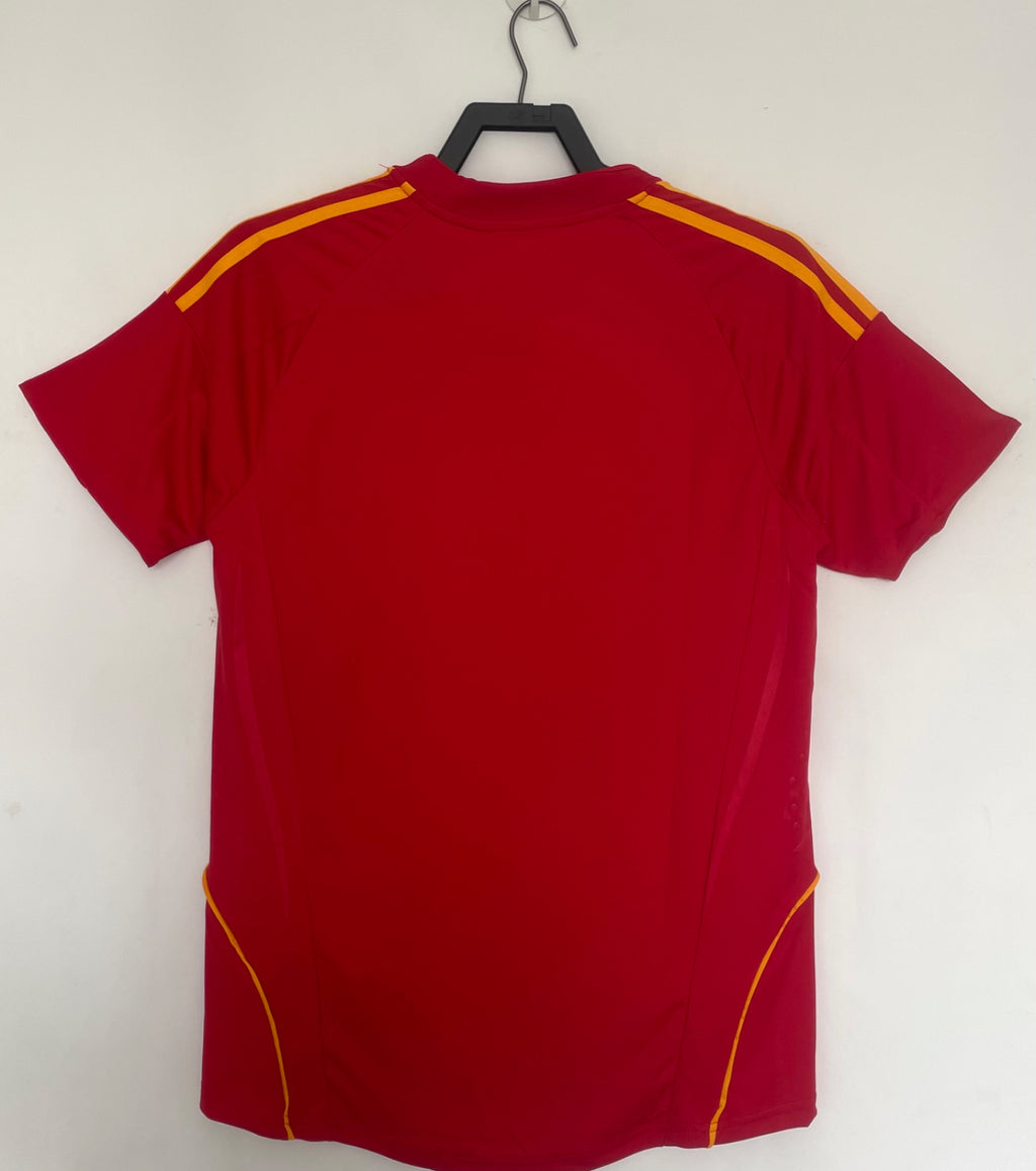 RETRO SPAIN 2008 HOME JERSEY