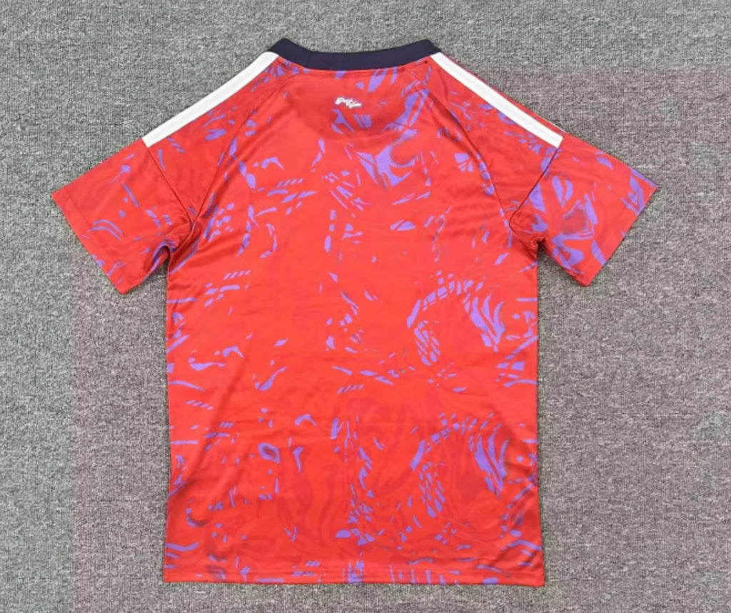 COSTA RICA 2026 HOME JERSEY FAN VERSION