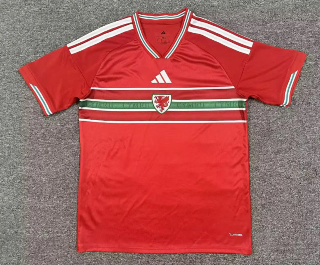 WALES 2026 HOME JERSEY FAN VERSION