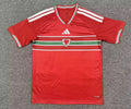 WALES 2026 HOME JERSEY FAN VERSION