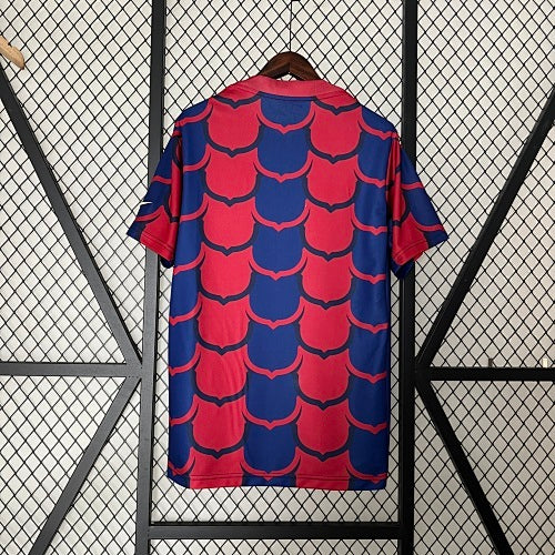 Barcelona 2024-25 Training Wear