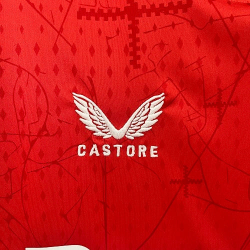 2024/25 Leverkusen Home Jersey Fan Version