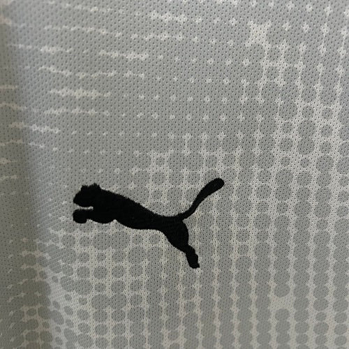 2025 Goalkeeper Portugal Grey Fan Version
