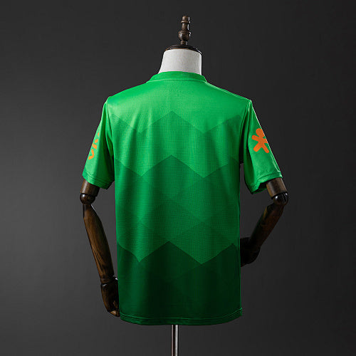Brazil 2020 Training Suit Green Retro Jersey Fan Version