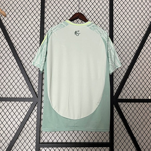 2024 Mexico Away Jersey Fan Version
